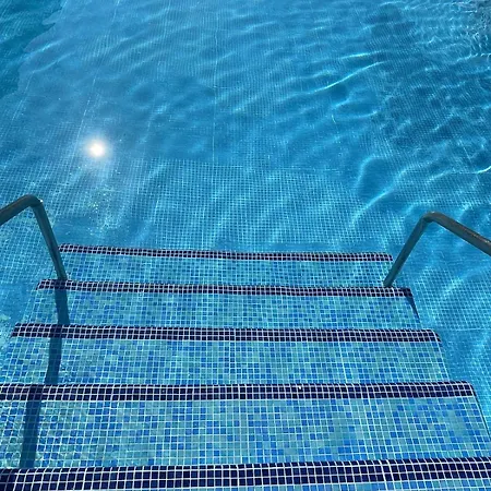 Palm Tree View * Maspalomas (Gran Canaria)