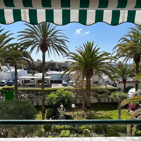 Palm Tree View *