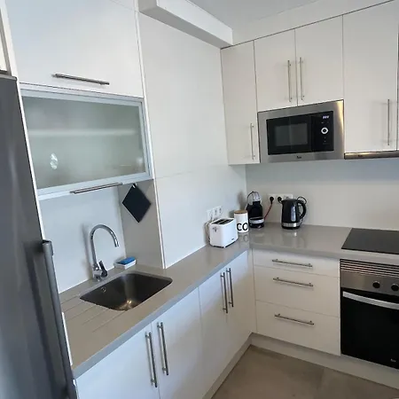 Palm Tree View * 마스팔로마스