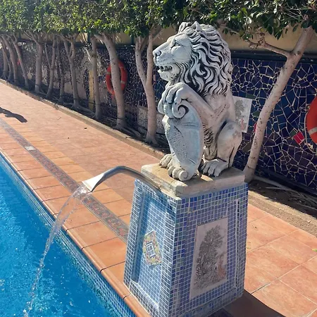 Apartamento Palm Tree View