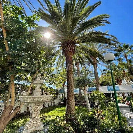 아파트 Palm Tree View