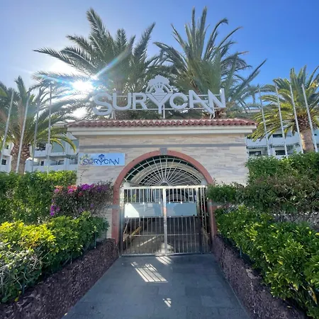Palm Tree View *