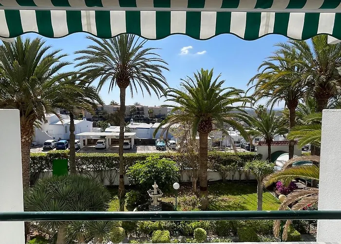 Palm Tree View *