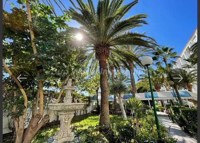 아파트 Palm Tree View
