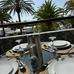 Palm Tree View