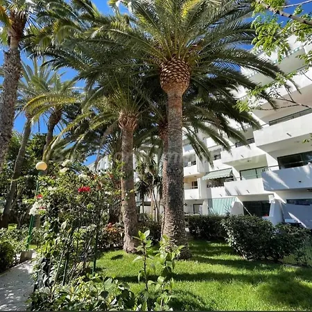 公寓 Palm Tree View 马斯帕洛马斯