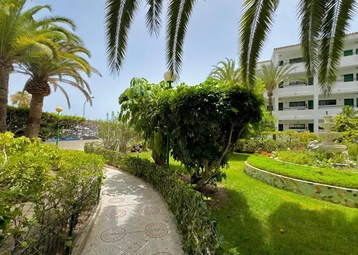 Palm Tree View Appartement