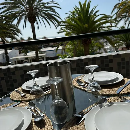 Palm Tree View