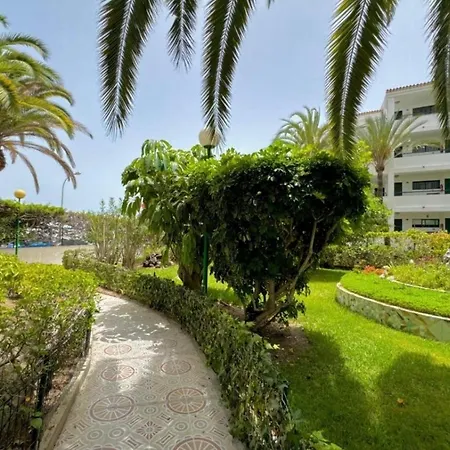 Palm Tree View Lejlighed